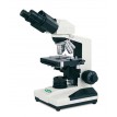 Compound Upright Microscopes