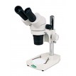 Compound Stereo/Dissecting Microscopes