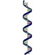 Category DNA Purification image