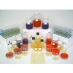 Category Media for Microbiology image