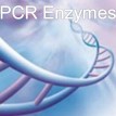 Long PCR