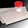 Labels, Patient I.D., Self-Adhesive, 25/Sheet, 80 Sheets/Case