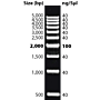 DNAmark 500bp Ladder, 50µg