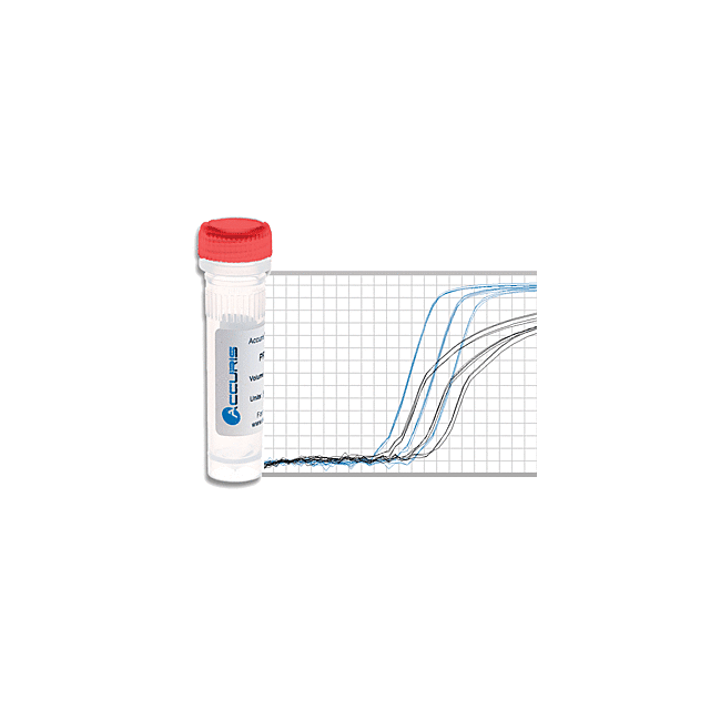 qMAX™ Probe Real Time PCR Mix