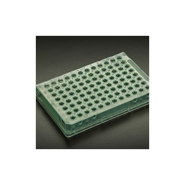 Skirted Amplate™ 96 Thin Wall PCR Plates