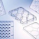 Greiner Cell Culture Multiwell Plates for Suspension Cultures