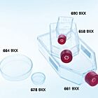 Greiner CELLSTAR® Standard Cell Culture Flasks