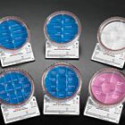 CoreDish Multiple Biopsy Containers, 50% Prefilled with 10% Formalin