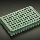 Skirted Amplate 96 Thin Wall PCR Plates