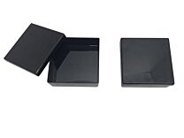MiniGel Western Blot Box for Invitrogen/Novex Mini Gels