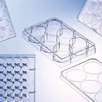 Cell Culture Multiwell Plates for Suspension Cultures