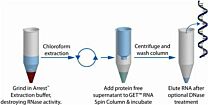 G Biosciences® GET™ Total RNA