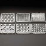 Celltreat® Scientific Tissue Culture Plates