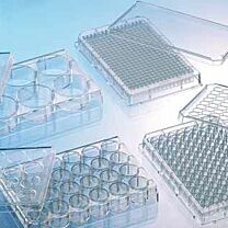 CELLCOAT® Protein Coated Labware - Poly-L-Lysine 