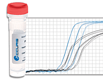 qMAX™ Probe Real Time PCR Mix