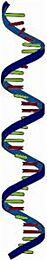 G Biosciences® LongLife™ RNase