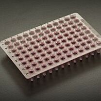 Low Profile Amplate™ 96 Thin Wall PCR Plates