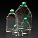 Celltreat® Scientific Suspension Culture Flasks